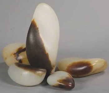 皮色 聚皮 皮色 聚皮