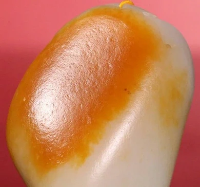 真皮 毛孔 真皮 毛孔