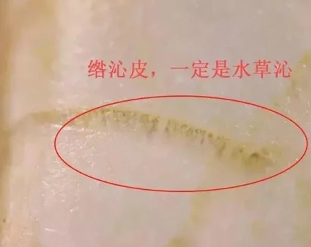 真皮 水草沁 真皮 水草沁