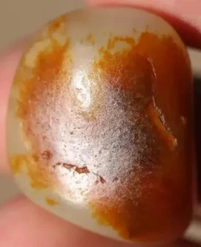 真皮 色根 真皮 色根